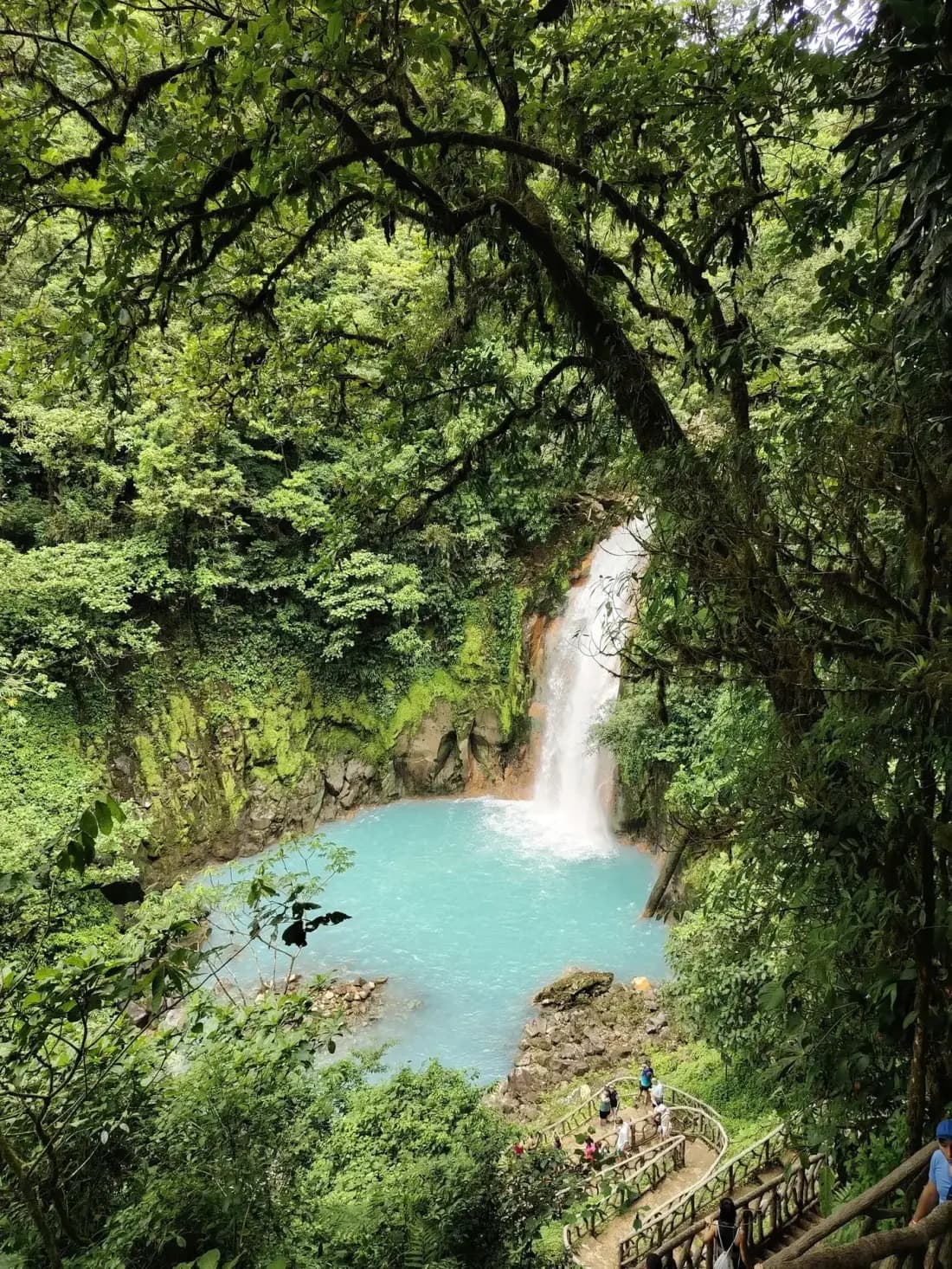 Naturaleza